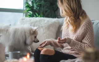 Woman hand feeding dog