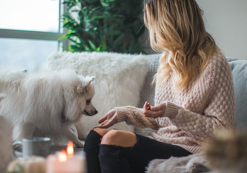 Woman hand feeding dog