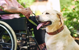 Wheelchair-bound Tenant