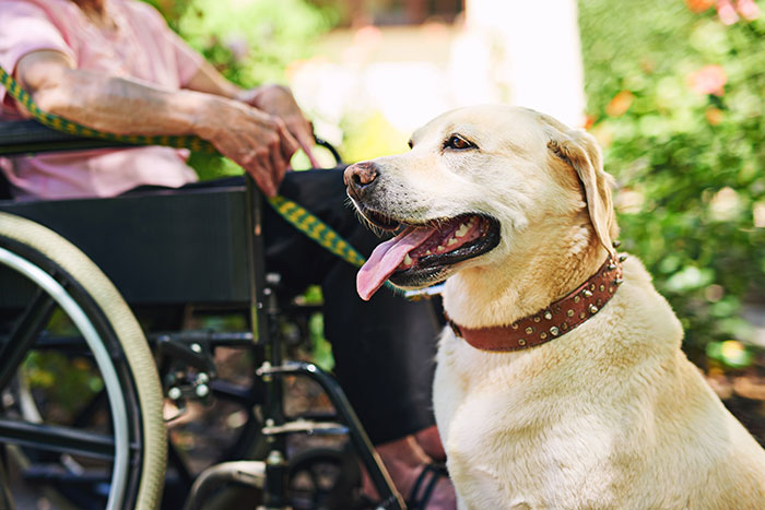 Wheelchair-bound Tenant